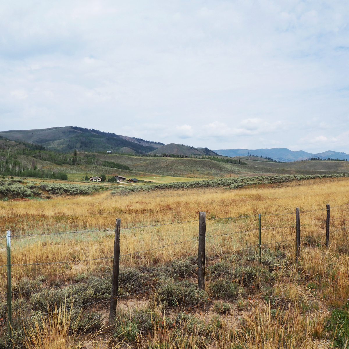 Plot of land to show the Colorado Premises Liability Act C.R.S.§ 13-21-115